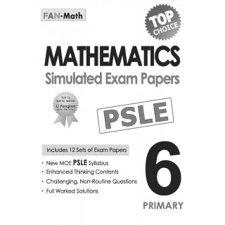 P6 Simulated Exam Papers